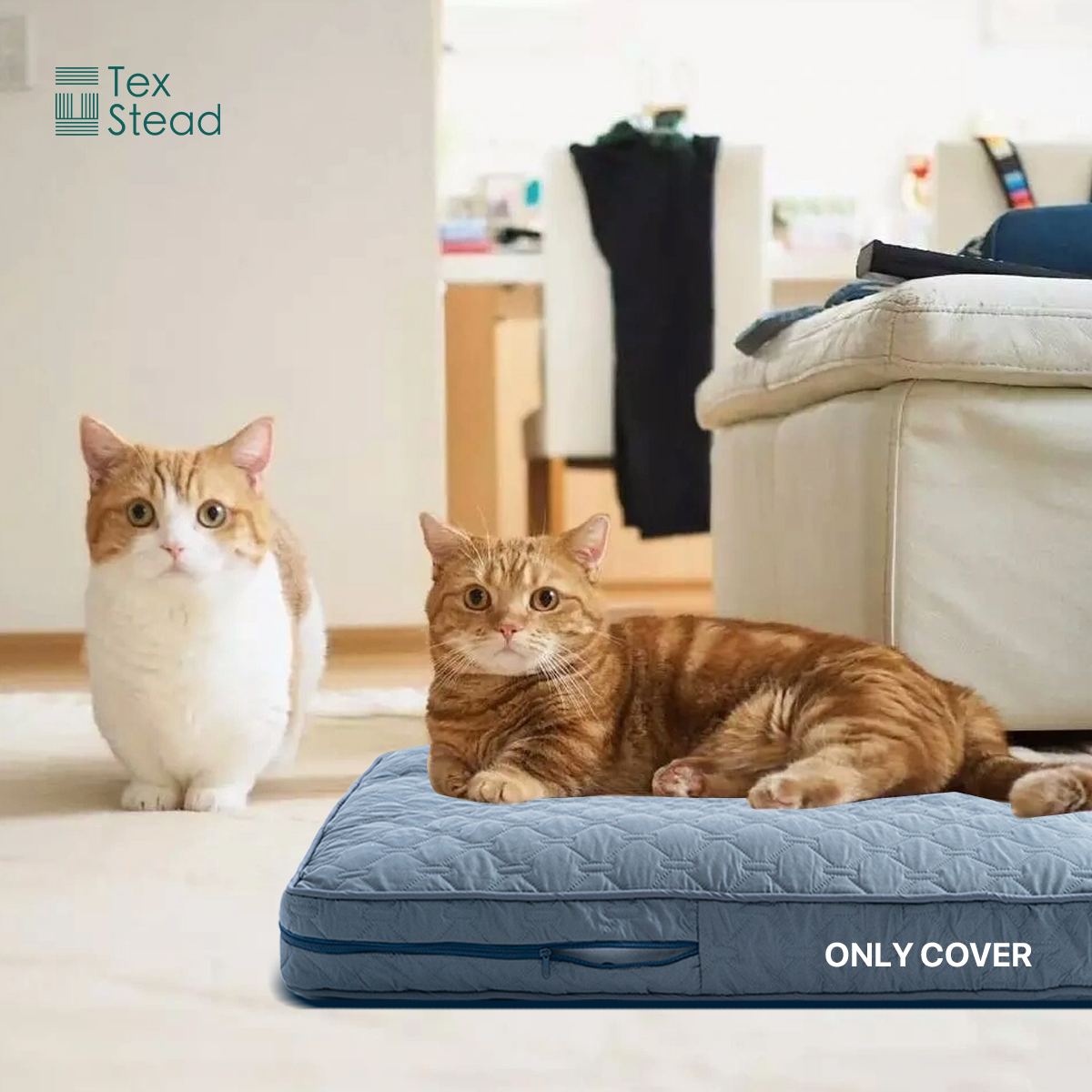 1Pc Orthopedic Dog Beds Cover  – обзор и цена Calming Dog Bed