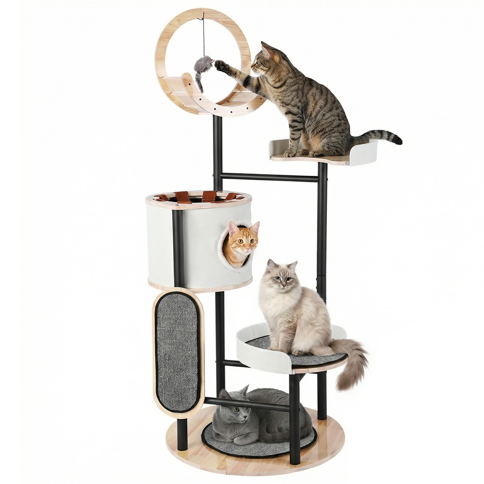 66-Inch Cat Tree with Scratchi – обзор и цена Pet X Supplies & Tack Howell Photos
