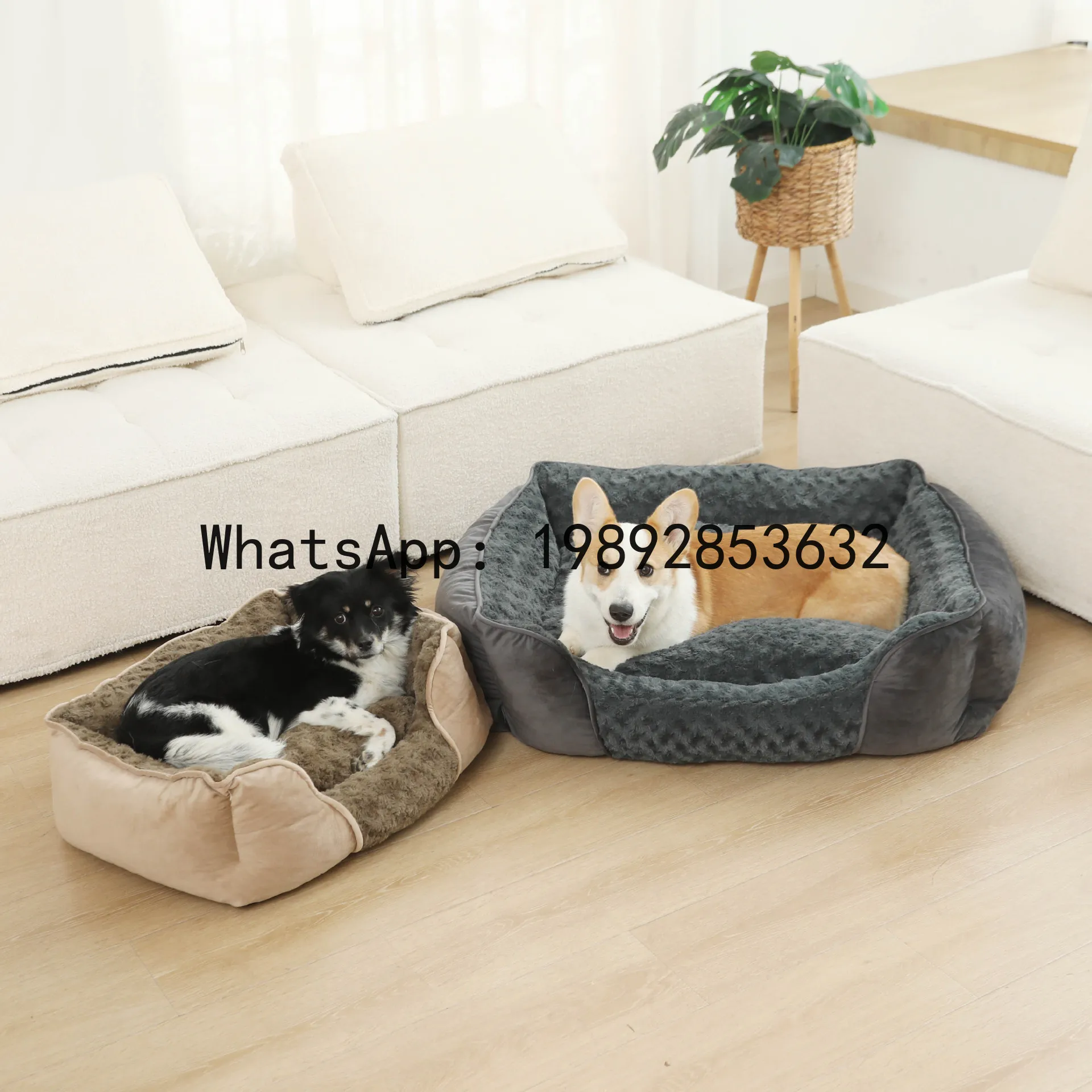 X cat house semi-enclosed dog  – обзор и цена Pet X Supplies & Tack Howell Photos