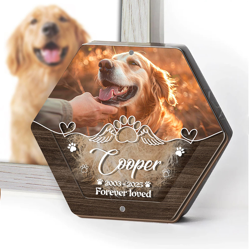 Personalized Name Wooden Carvi – обзор и цена Pet Supplies Direct
