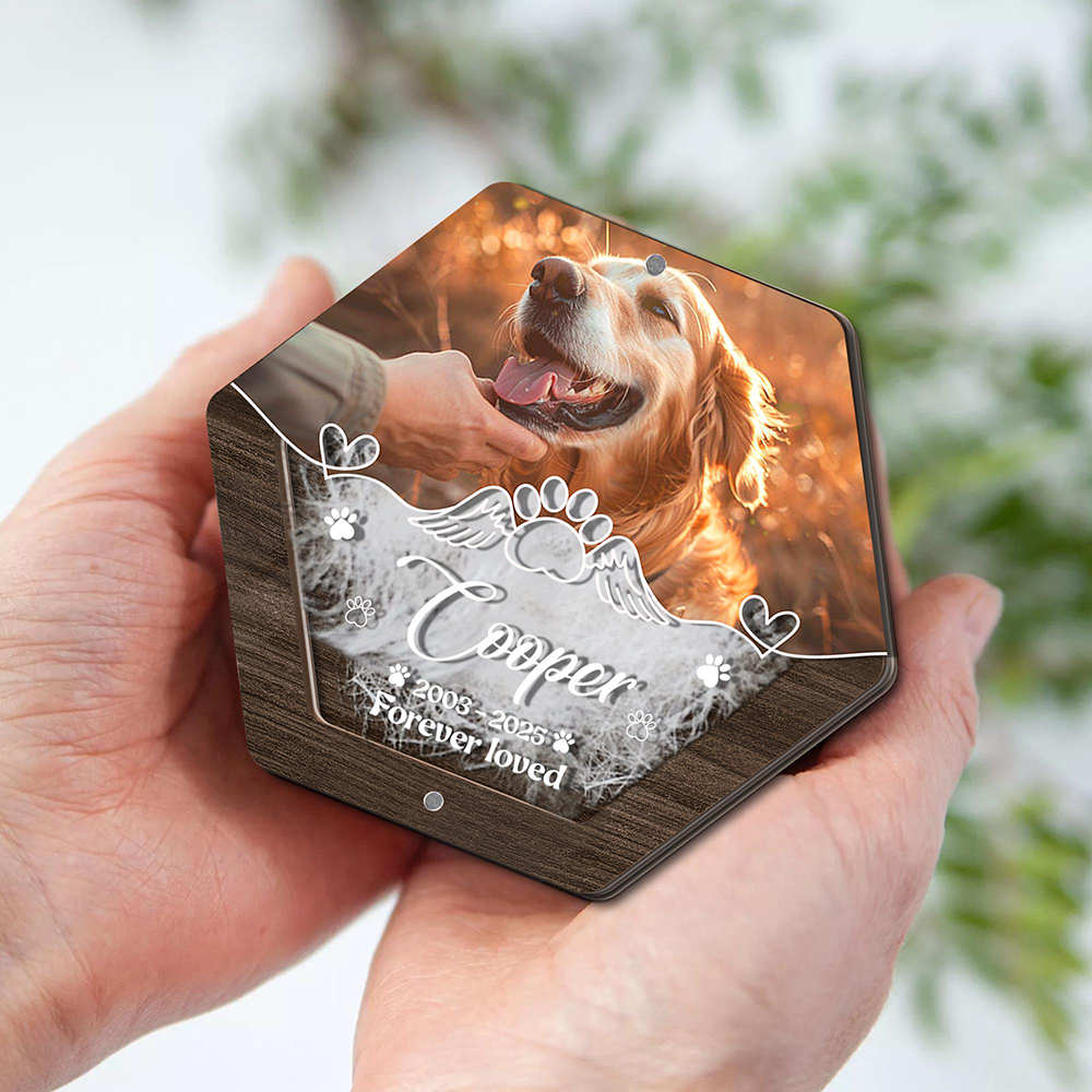 Personalized Name Wooden Carvi – обзор и цена Pet Supplies Direct