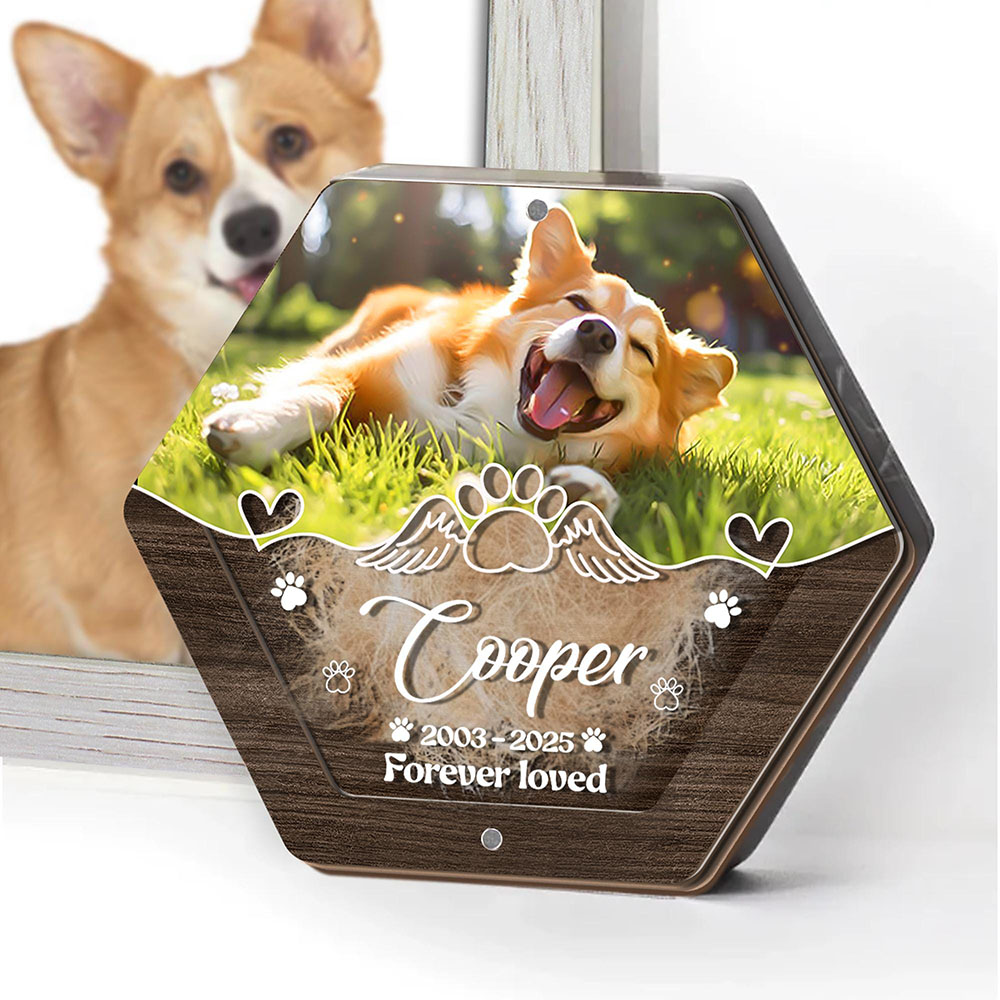 Personalized Name Wooden Carvi – обзор и цена Pet Supplies Direct