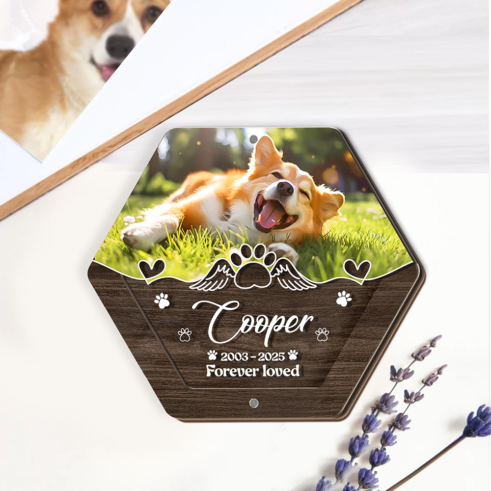 Personalized Name Wooden Carvi – обзор и цена Pet Supplies Direct