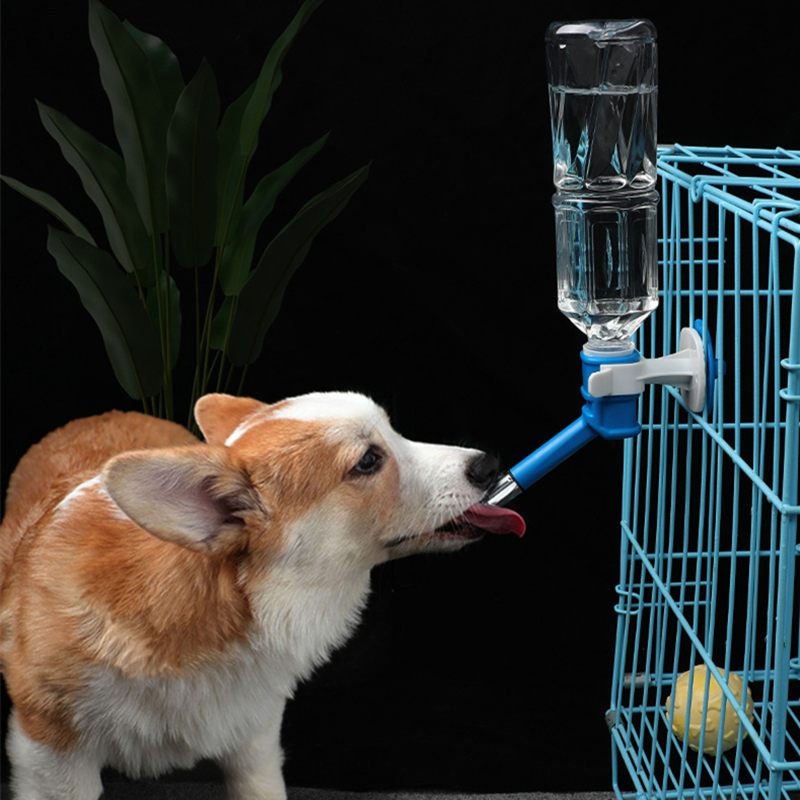 Pet Dog Cat Water Dispenser No – обзор и цена Cat Water Fountain Filter