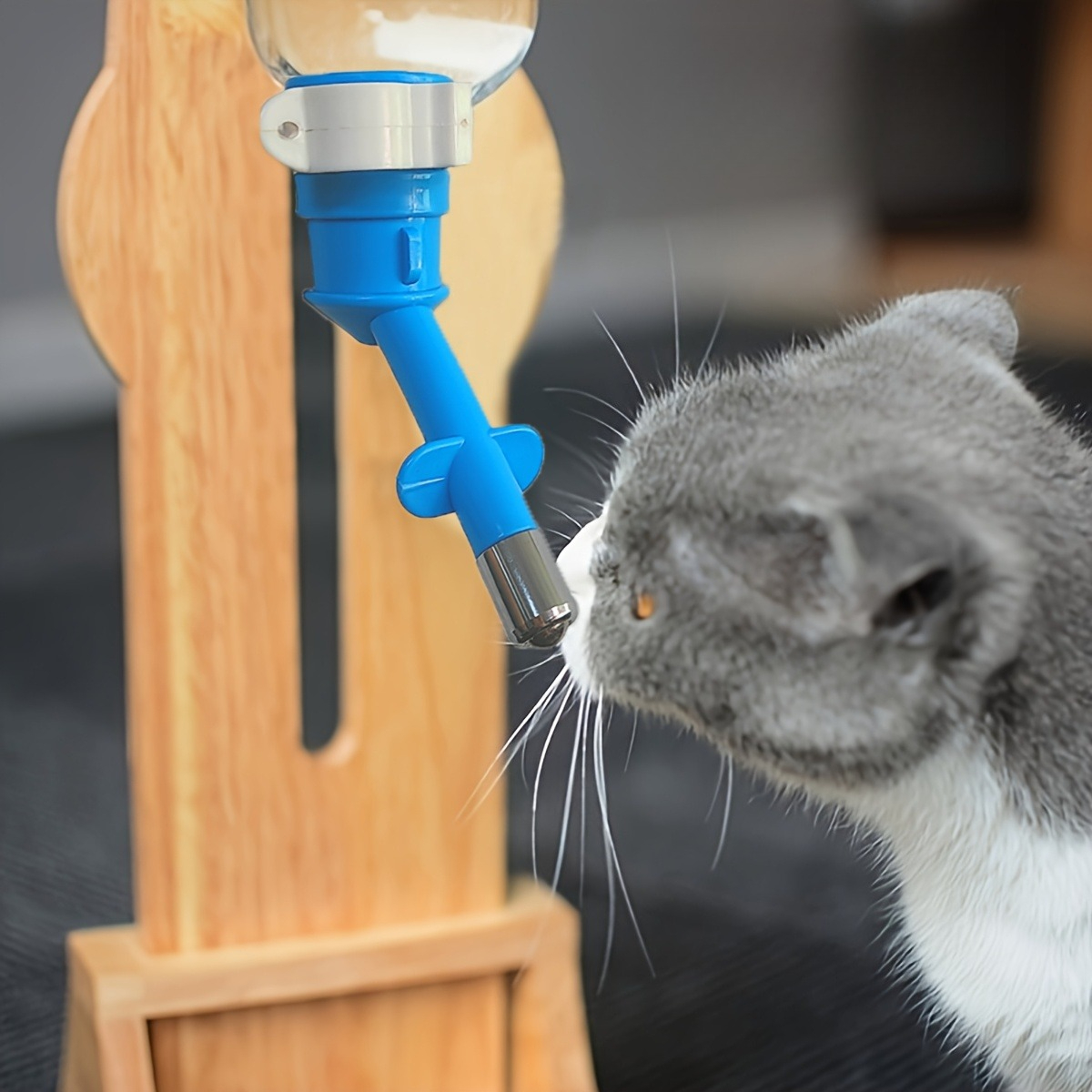 Ball-type Drinking Fountains P – обзор и цена Cat Water Fountain Filter