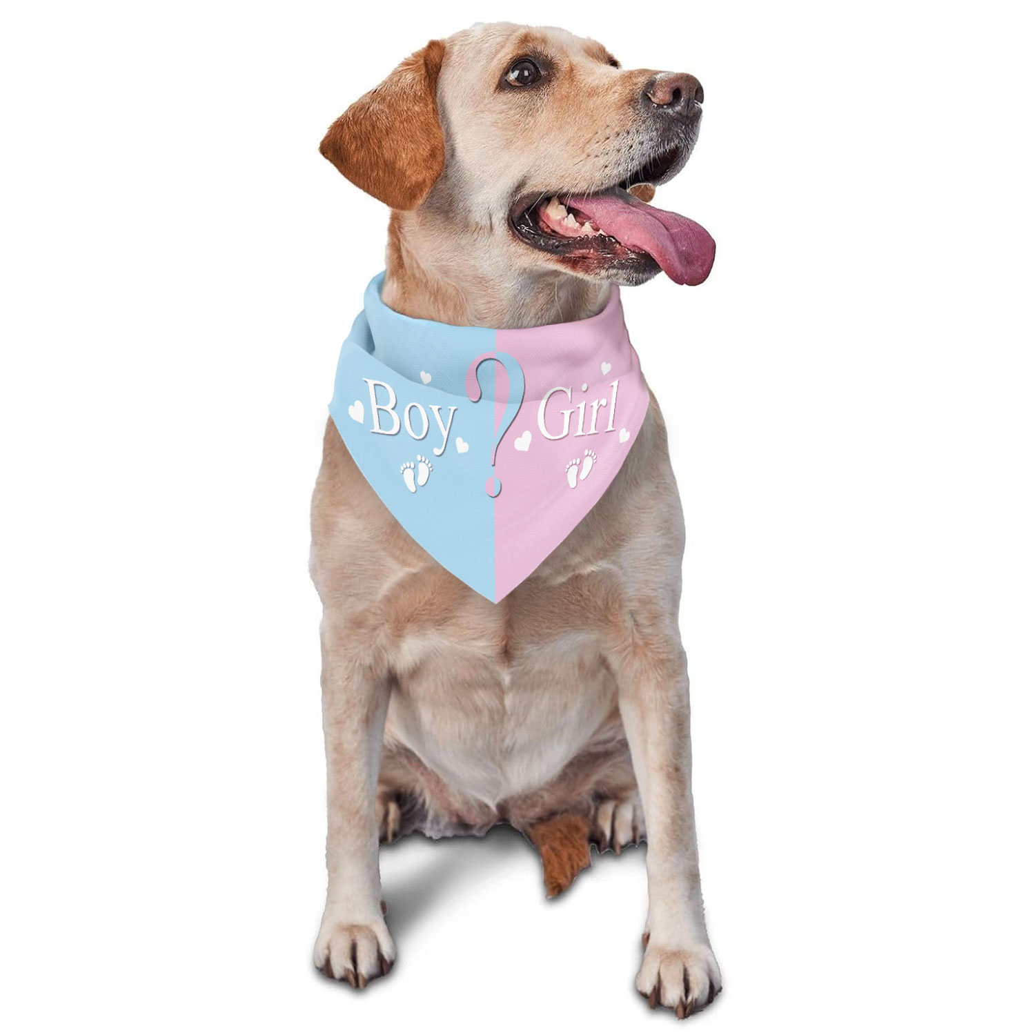 Gender Reveal Pet Bandana - Pi – обзор и цена Pet Supplies Outlet