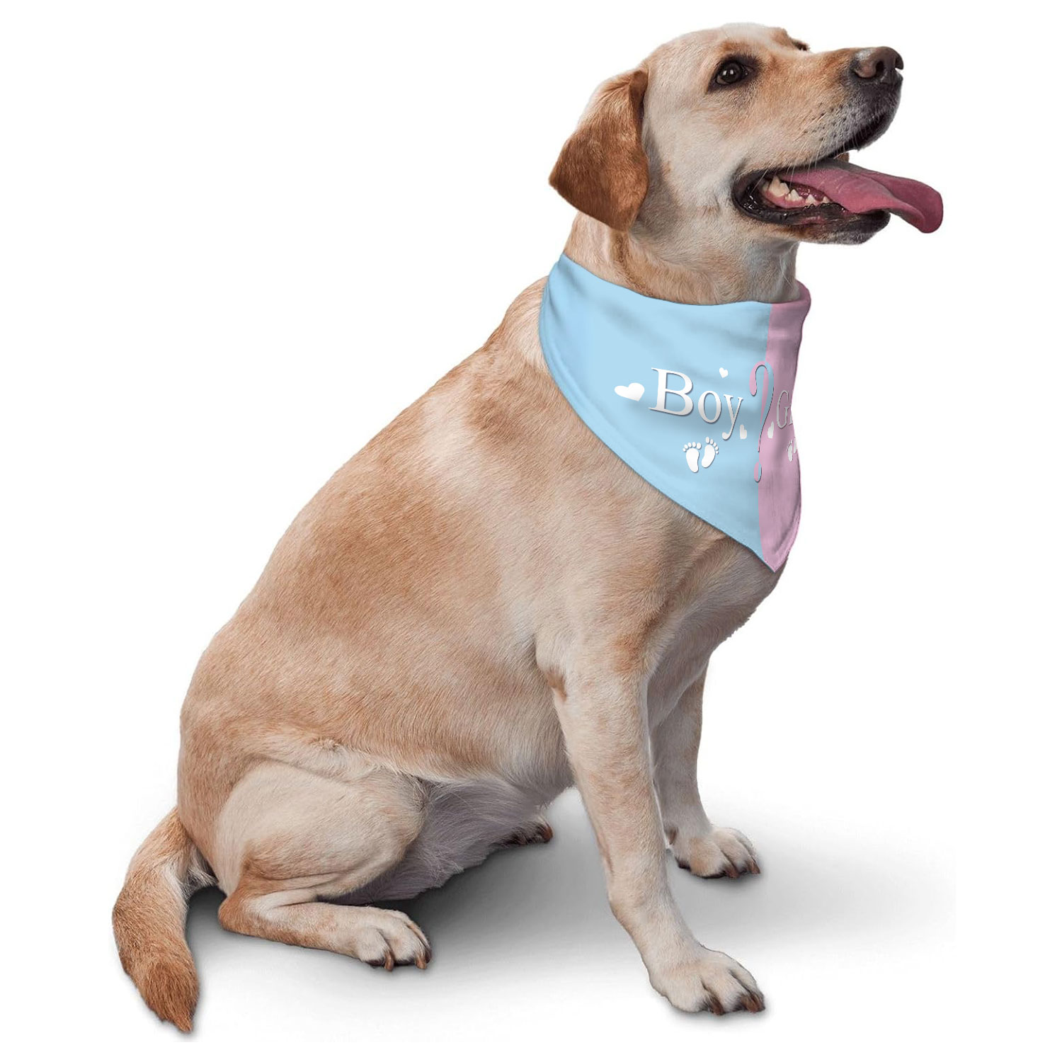 Gender Reveal Pet Bandana - Pi – обзор и цена Pet Supplies Outlet