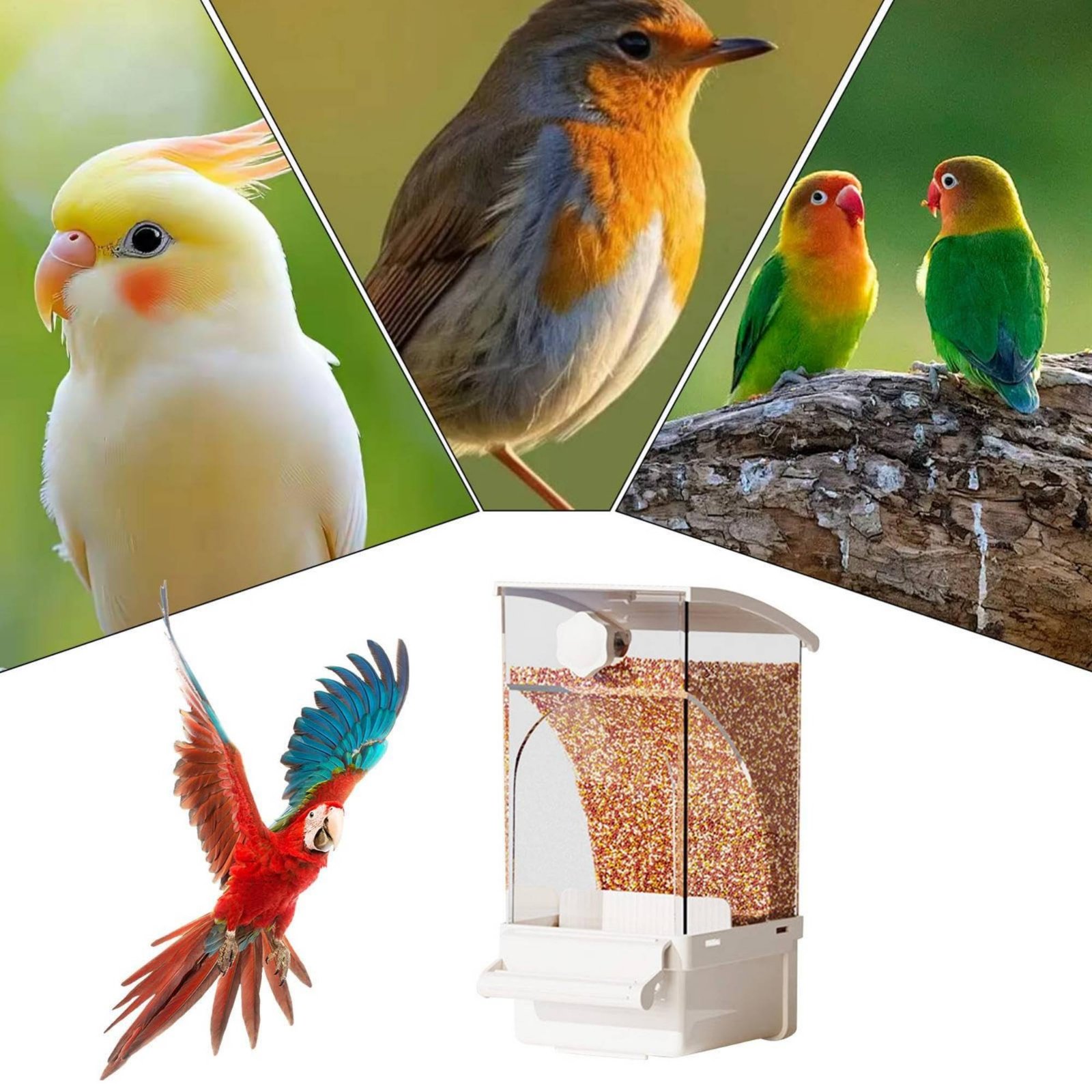 Automatic Avian Feeder Husk Se – обзор и цена Pet Supplies Us