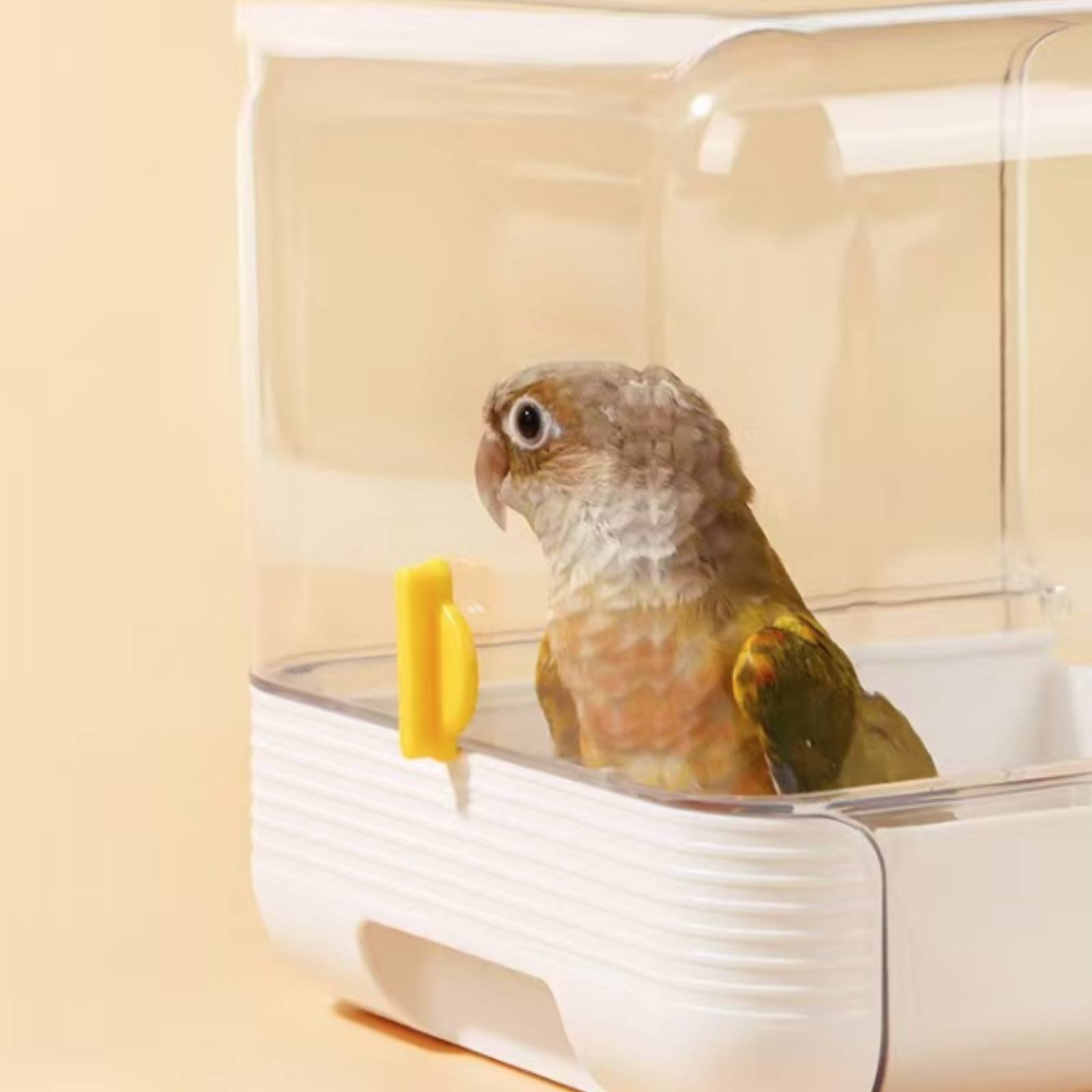 Parrot Bathing Tub Multi Funct – обзор и цена Pet Supplies Us