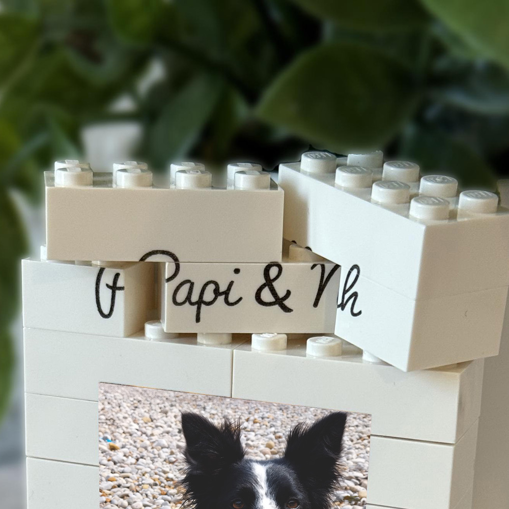 1PC Custom Pet Building Blocks – обзор и цена Pet Supplies Outlet