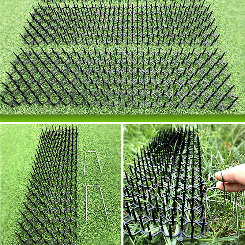 Garden Cat Scat Mat Anti Cat D – обзор и цена Pet Supplies Direct