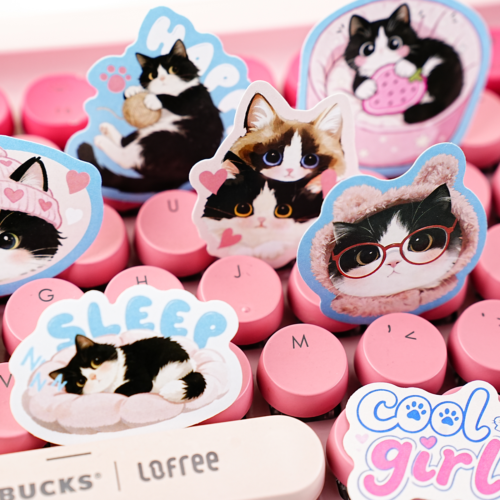 Etori Life Cute Pet Party Set  – обзор и цена Pet Supplies Gift Card