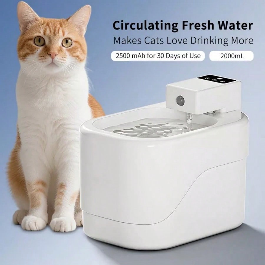 Smart Cat Water Fountain Autom – обзор и цена Cat Water Fountain Filter